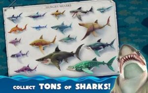 game Hungry Shark World mod apk